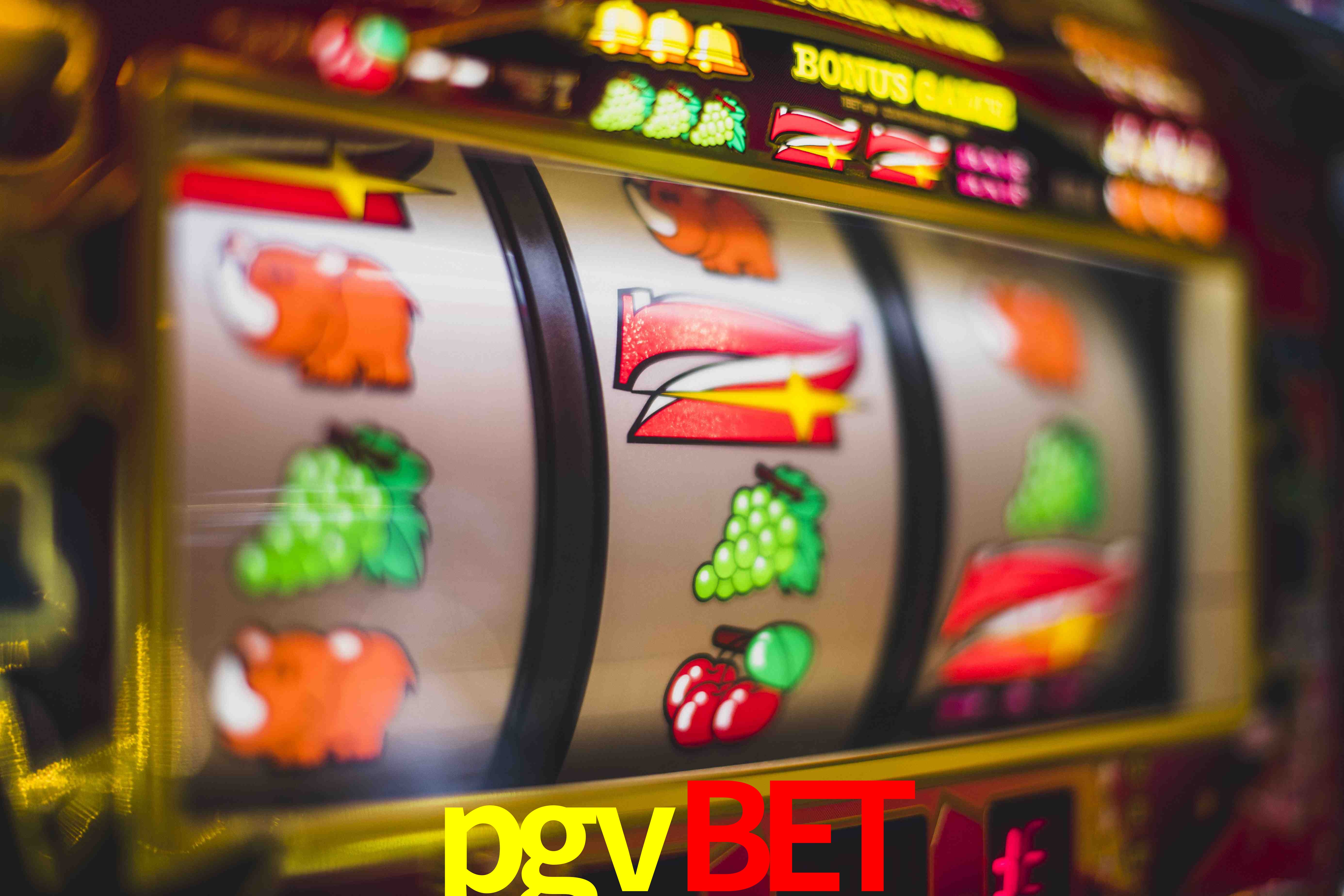 Experiência VIP pgvbet