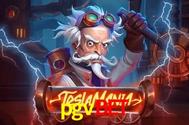 Provedores de Jogos pgvbet