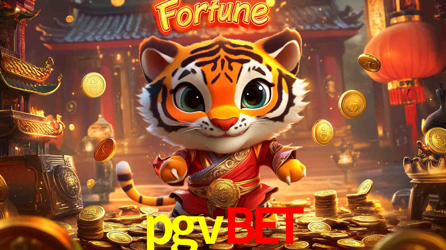 A Experiência Imersiva dos Cassinos Ao Vivo no pgvbet