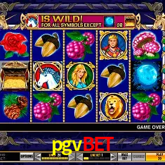 pgvbet Salvador - Bonus Stats